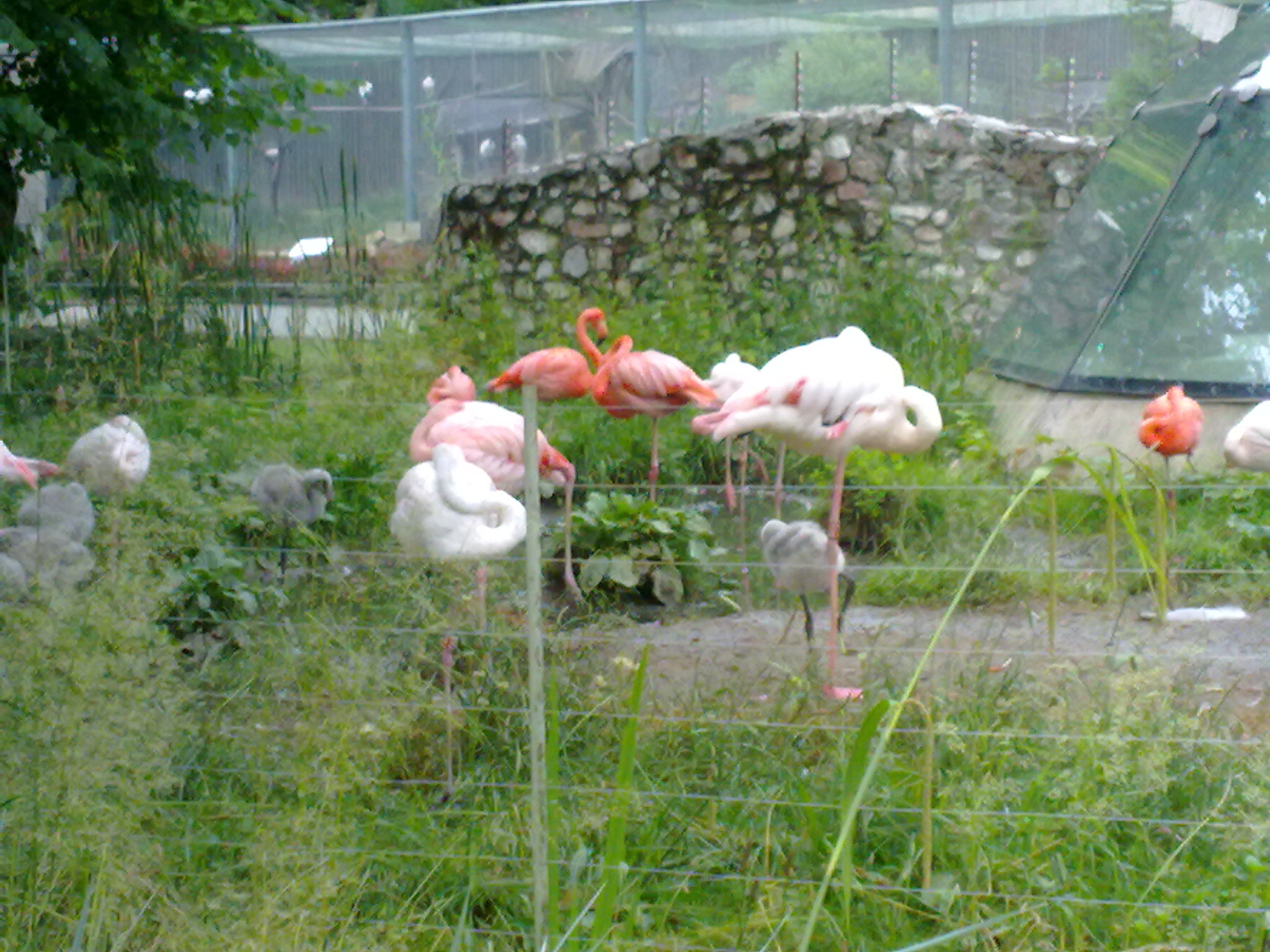 ZOO Liberec