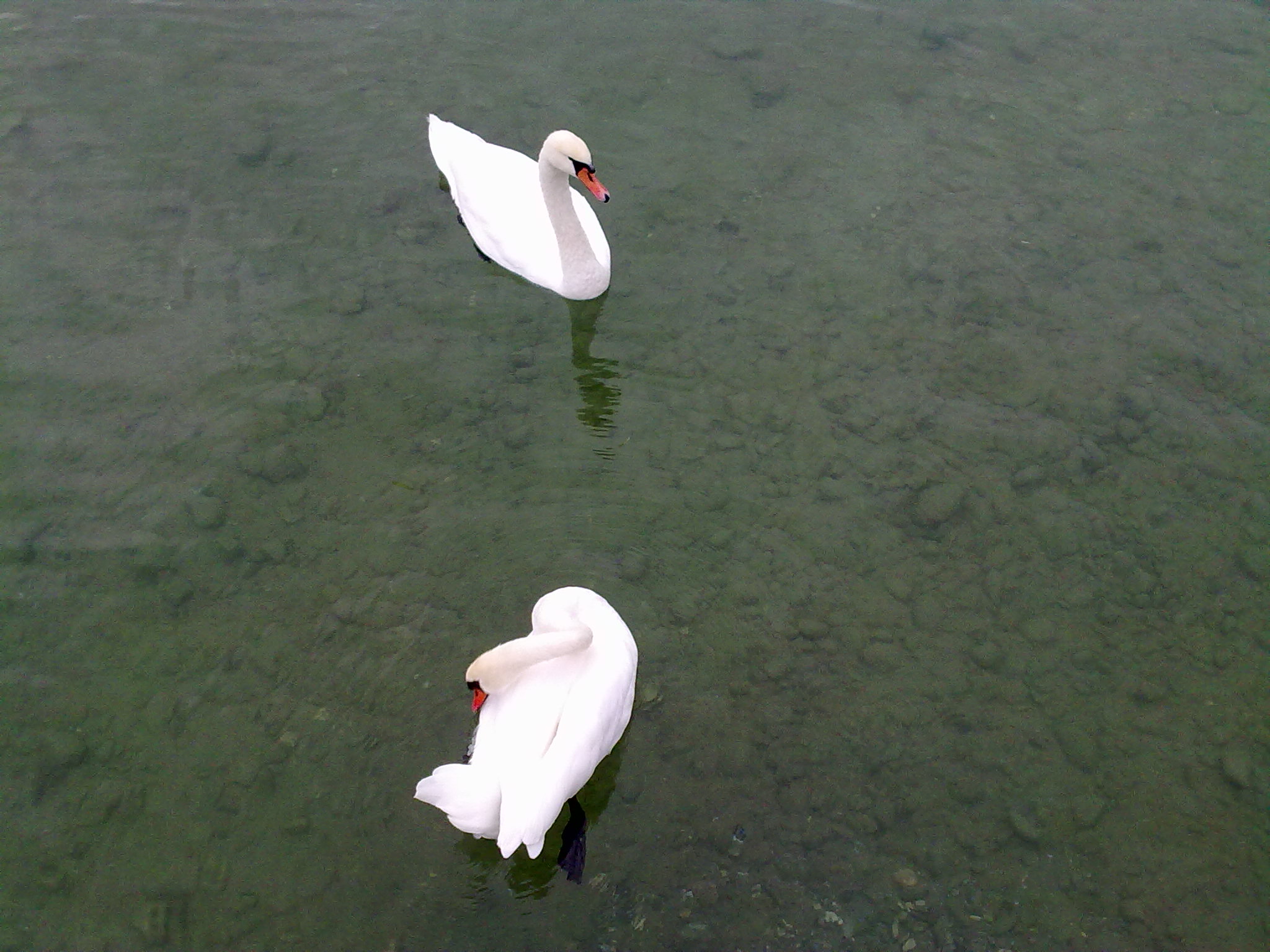 Itálie - Lago di garda